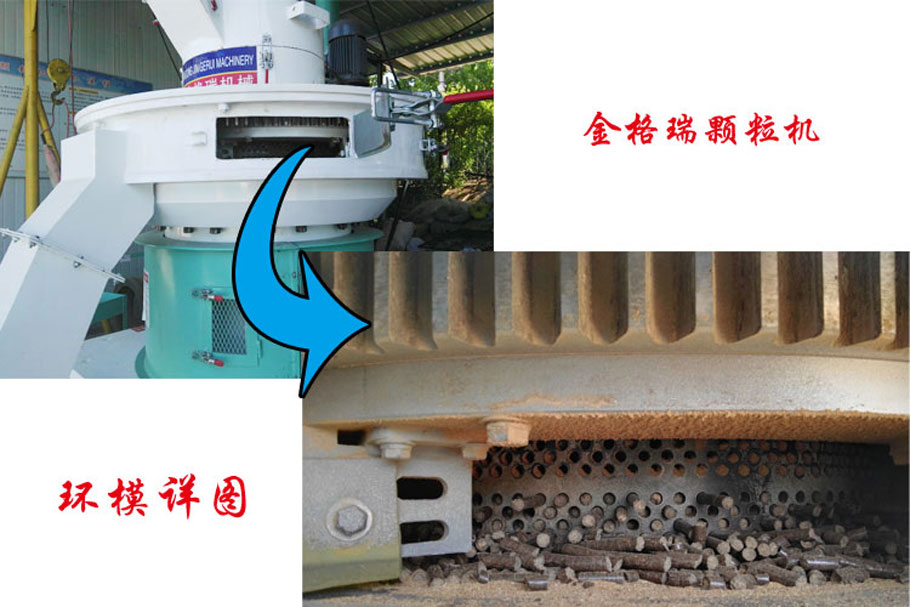榴莲视频成人官网图