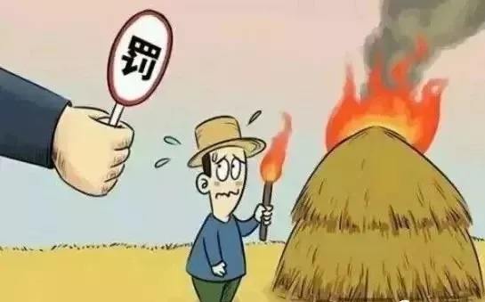 生物质榴莲视频成人官网械