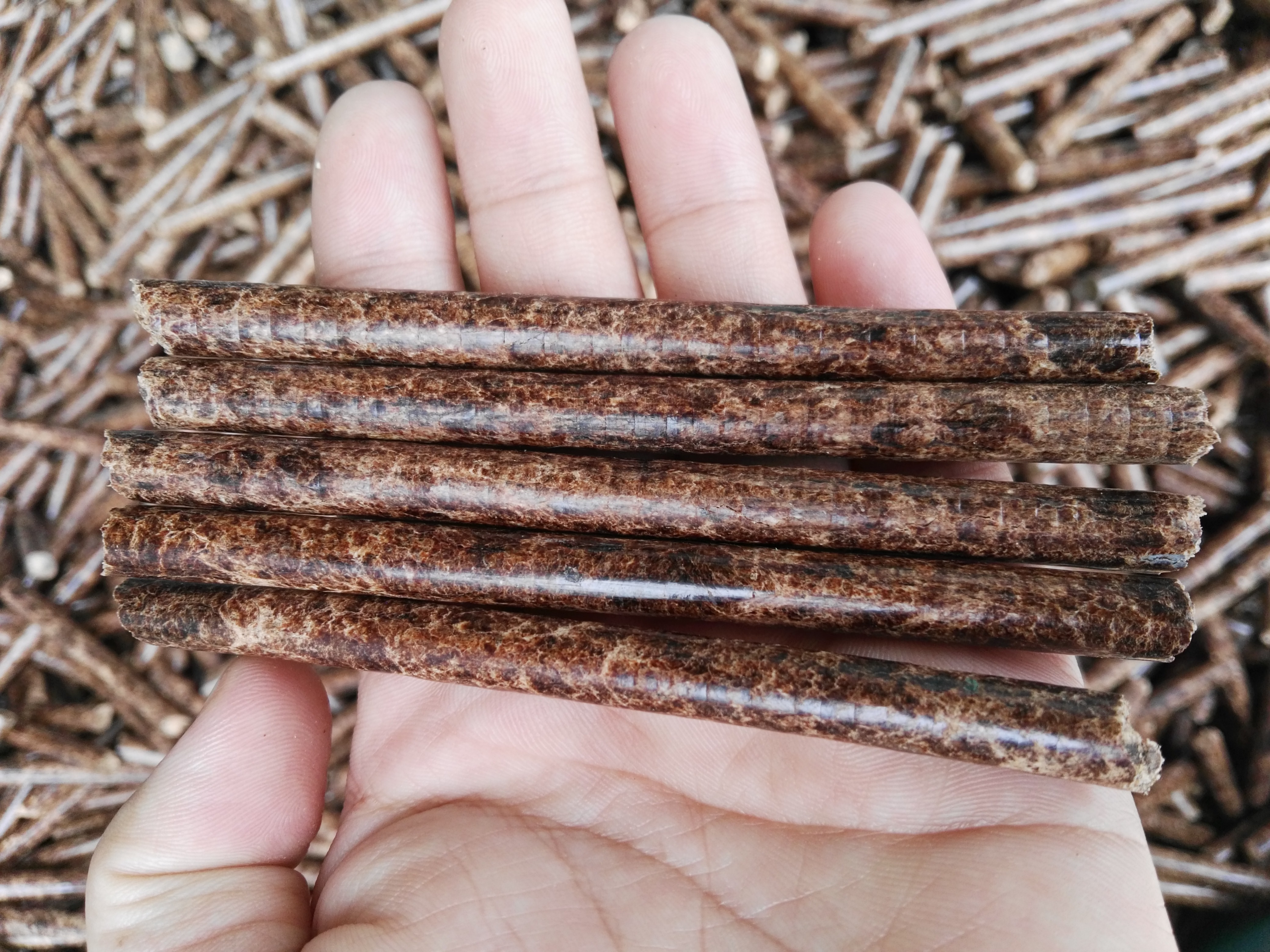 生物质榴莲视频成人官网械