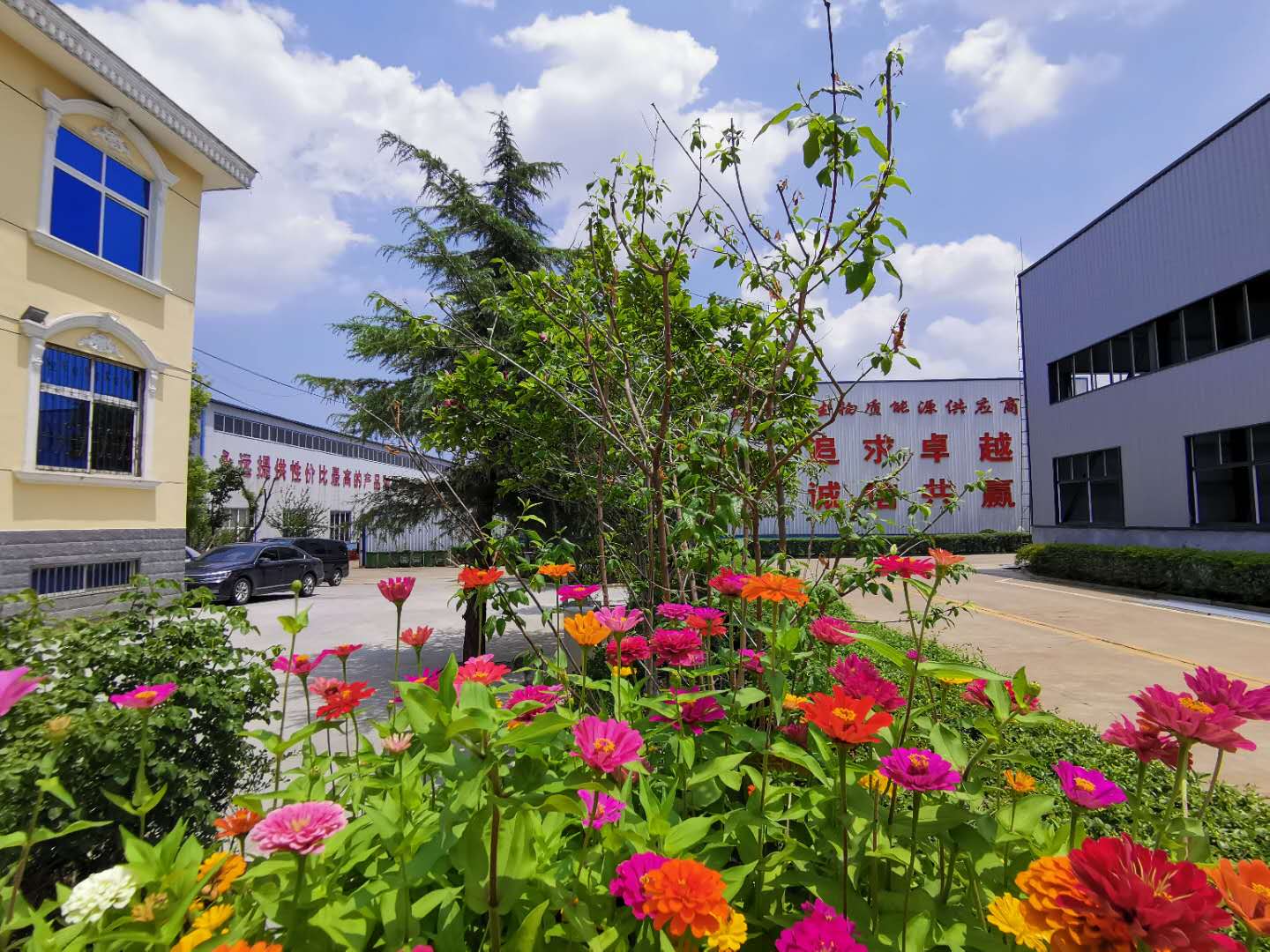 生物质榴莲视频成人官网厂家 生物质榴莲视频成人官网械