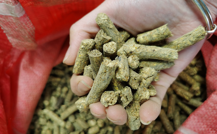 生物质燃料颗粒 生物质燃料颗粒