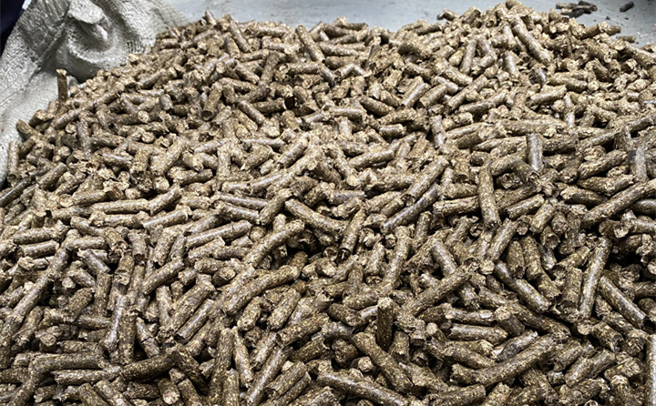 生物质燃料榴莲视频成人官网颗粒项目