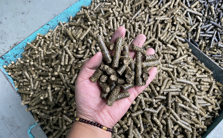 生物质燃料榴莲视频成人官网秸秆成型燃料