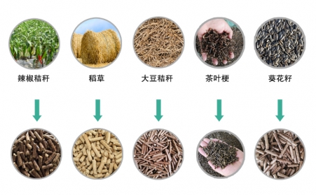 生物质榴莲视频成人官网械推动生物质能源发展