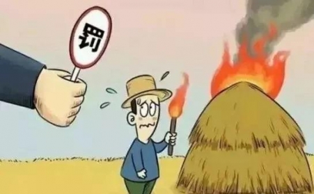 秸秆禁烧怎么办？秸秆榴莲视频成人官网帮您变废为宝！