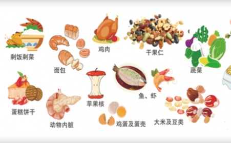 我国明确对非居民厨余垃圾处理按“产生者付费”原则计量收费,你的垃圾怎么办？垃圾生物质榴莲视频成人官网帮你解决