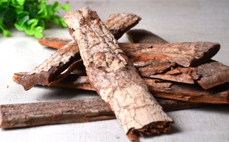 深入！为什么欧洲需要依靠可持续的生物能源