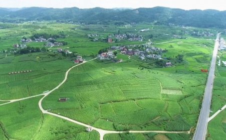 福泉：生物质颗粒智能化烘烤 助力烤烟产业提质增效