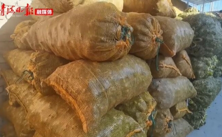 青海海东乐都：生物质颗粒燃料燃起乡村振兴新希望