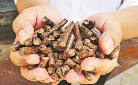 生物质榴莲视频成人官网加工的环保木屑颗粒燃料哪里买？购买应该注意哪些问题？