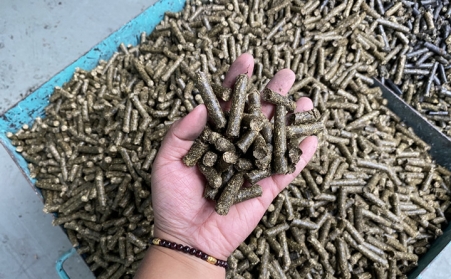 生物质榴莲视频成人官网制作一吨生物颗粒的成本和利润受哪些因素影响？